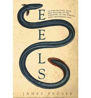 EELS: AN EXPLORATION, FROM NEW ZEALAND TO THE SARGASSO, OF THE WO