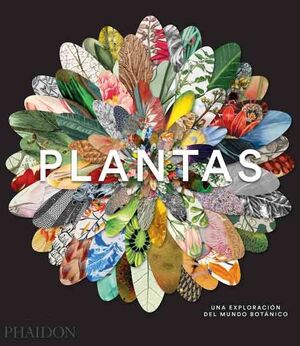 PLANTAS. UNA EXPLORACIÓN DEL MUNDO BOTÁNICO