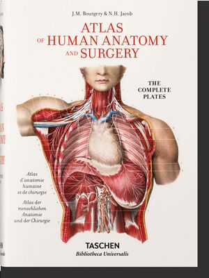 BOURGERY. ATLAS DE ANATOMÍA HUMANA Y CIRUGÍA