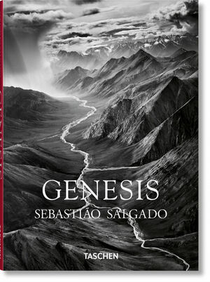 SALGADO, GENESIS