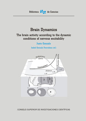 BRAIN DYNAMICS : THE BRAIN ACTIVITY ACCORDING TO THE DYNAMIC CONDITIONS OF NERVO