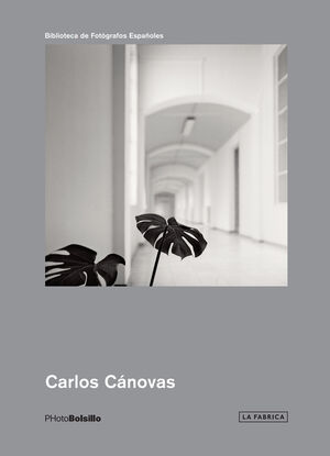 CARLOS CÁNOVAS