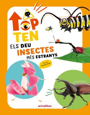 TOP TEN ELS DEU INSECTES MES ESTRANYS