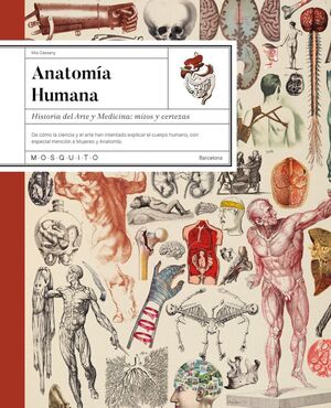 ANATOMÍA