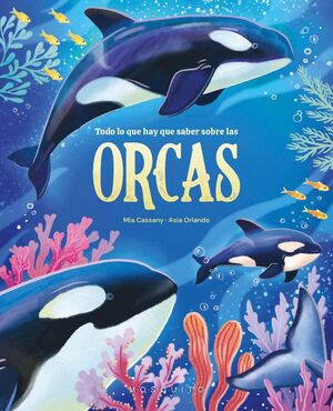TODO LO QUE NECESITAS SABER SOBRE LAS ORCAS