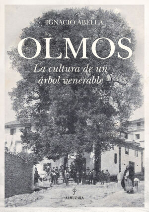 OLMOS. LA CULTURA DE UN ÁRBOL VENERABLE