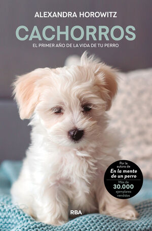 CACHORROS (EBOOK)