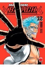 MAXIMUM BLEACH 12