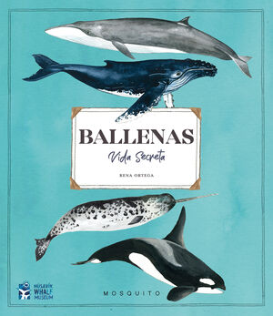 BALLENAS. VIDA SECRETA