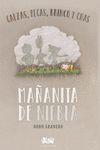 MAÑANITA DE NIEBLA