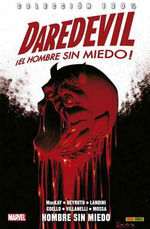 DAREDEVIL: EL HOMBRE SIN MIEDO 17. EL HOMBRE SIN MIEDO