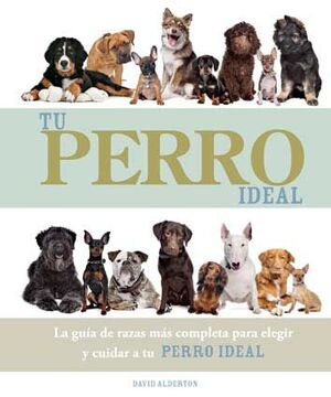 TU PERRO IDEAL