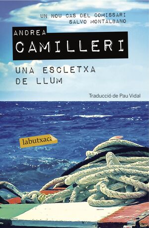 UNA ESCLETXA DE LLUM