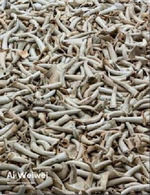 AI WEIWEI