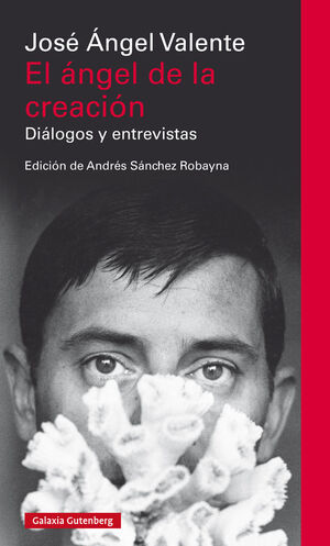 EL áNGEL DE LA CREACIóN