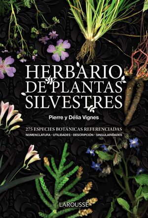 HERBARIO DE PLANTAS SILVESTRES