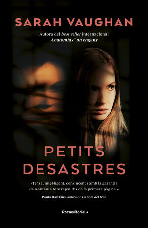 PETITS DESASTRES