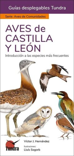 AVES DE CASTILLA Y LEON - GUIAS DESPLEGABLES TUNDRA