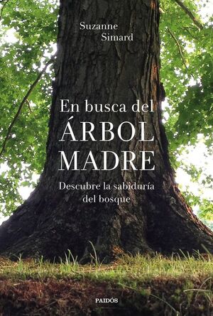 EN BUSCA DEL ÁRBOL MADRE