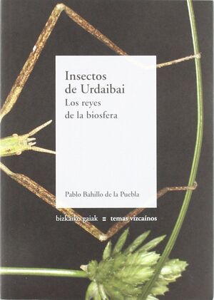 INSECTOS DE URDAIBAI