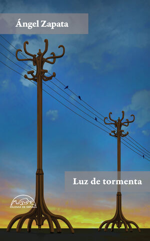 LUZ DE TORMENTA