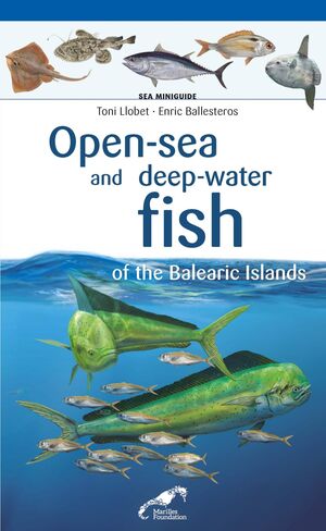 PEIXOS PELAGICS I DE FONS PROFUNDS DEL MAR BALEAR INGLES