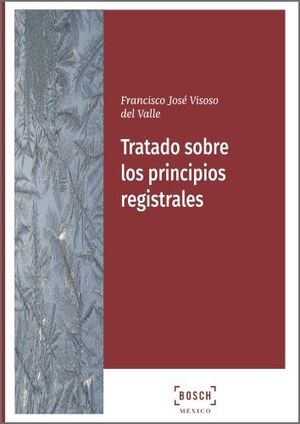 TRATADO SOBRE LOS PRINCIPIOS REGISTRALES