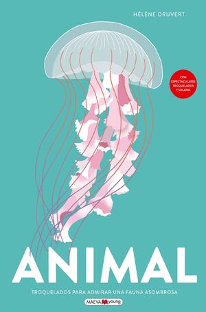 ANIMAL